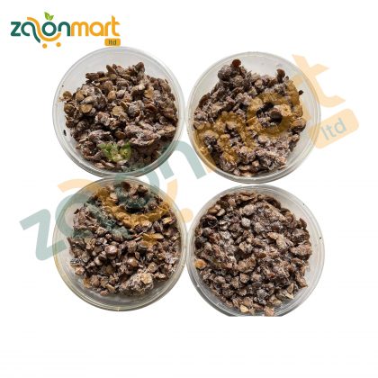 Fresh Locust Bean 1Pack