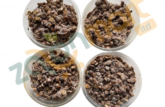 Fresh Locust Bean 1Pack