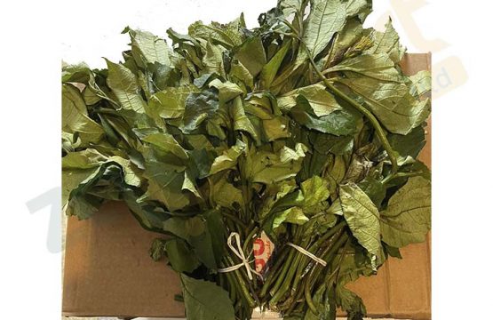 Fresh Ugu leaves Bunch