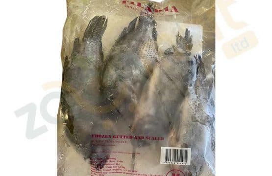 Tilapia Fish Large 800/1000 5kg